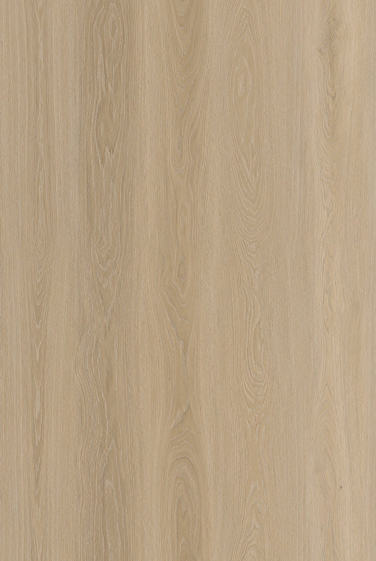 Route66 8mm/22mil Woodland Oak 9 in. W x 60 in L. Click Lock Waterproof SPC Vinyl Planks Flooring (18.75 sq.ft/case)