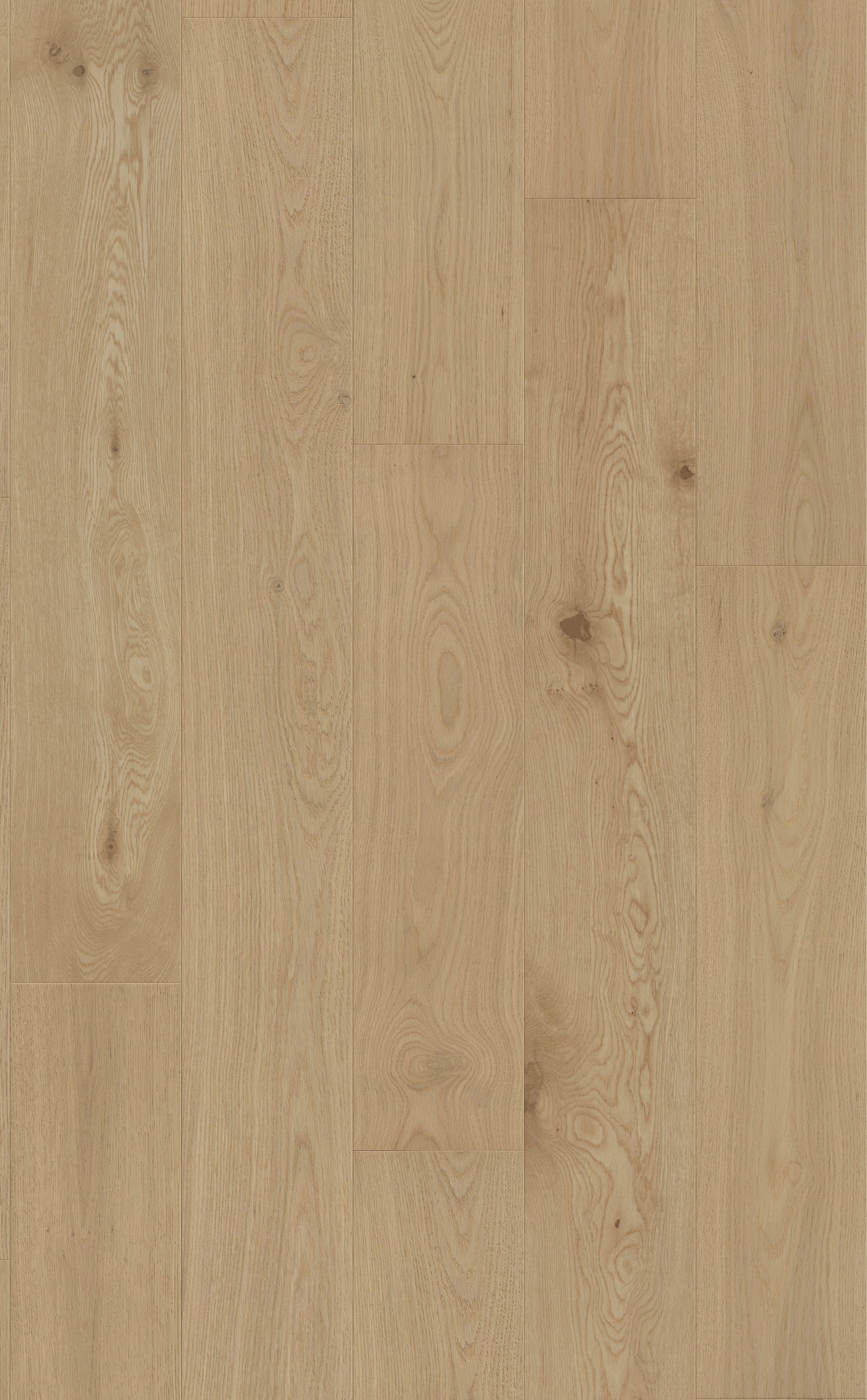Golden Coast European Oak 1/2" T x 7.5" W Engineered Wood Flooring
