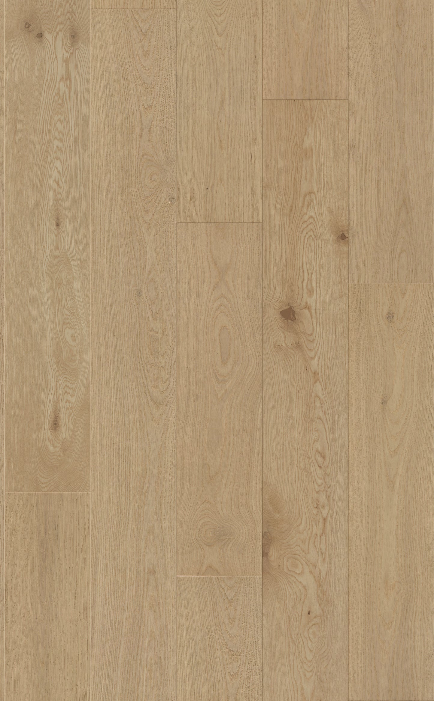 Golden Coast European Oak 2mm Veneer 1/2" T x 7.5" W Engineered Wood Flooring (31.09sq.ft/case)