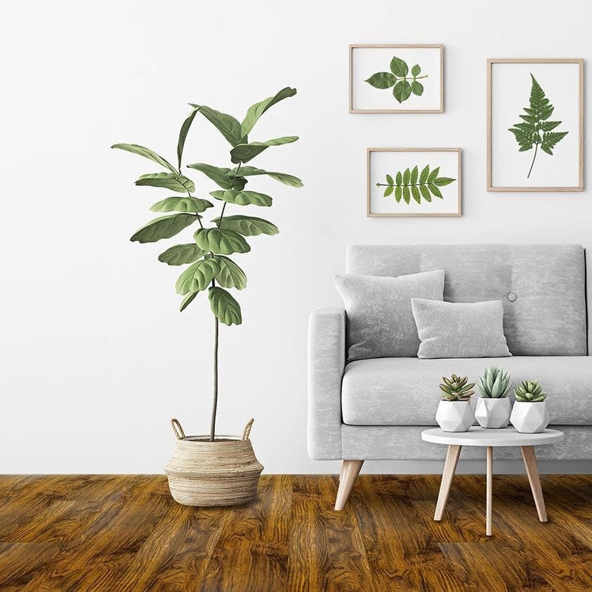 T-molding Empire Black Walnut