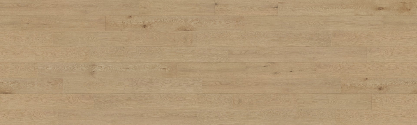 Golden Coast European Oak 2mm Veneer 1/2" T x 7.5" W Engineered Wood Flooring (31.09 sq.ft/case)