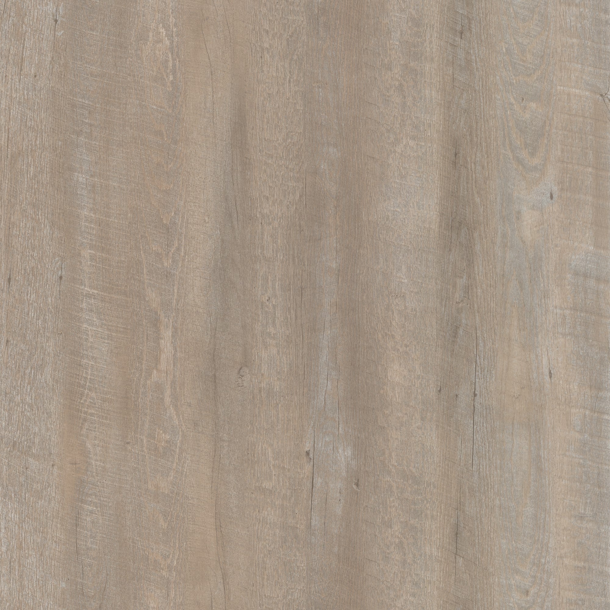 DW7404Square.jpg?v=1705362124&