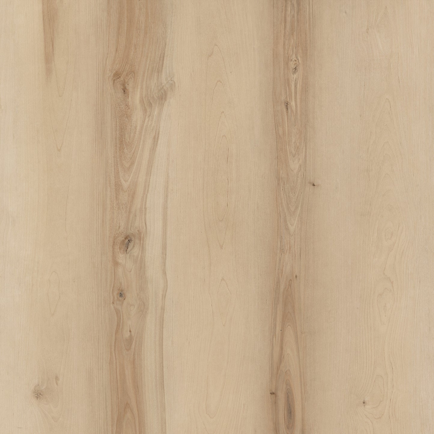 Silverlake 5mm/22mil Hillcrest Birch Waterproof Click Lock Luxury Vinyl Plank Flooring - 7.1 in. W x 48 in. L