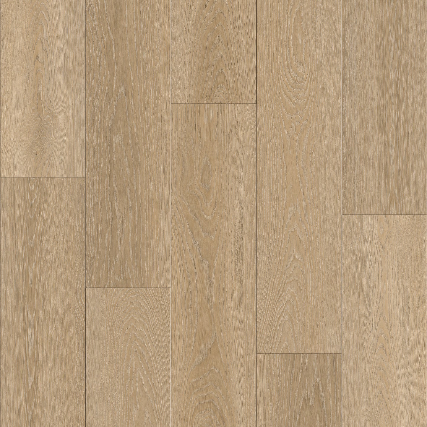 Route66 8mm/22mil Woodland Oak 9 in. W x 60 in L. Click Lock Waterproof SPC Vinyl Planks Flooring (18.75 sq.ft/case)