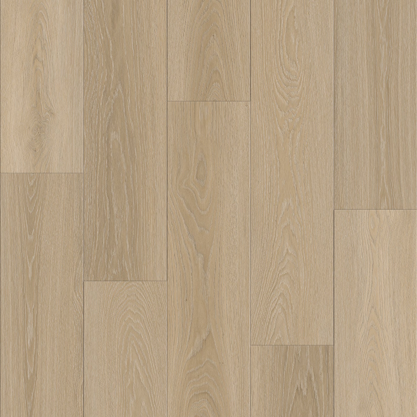 Route66 8mm/22mil Woodland Oak 9 in. W x 60 in L. Click Lock Waterproof SPC Vinyl Planks Flooring (18.75 sq.ft/case)