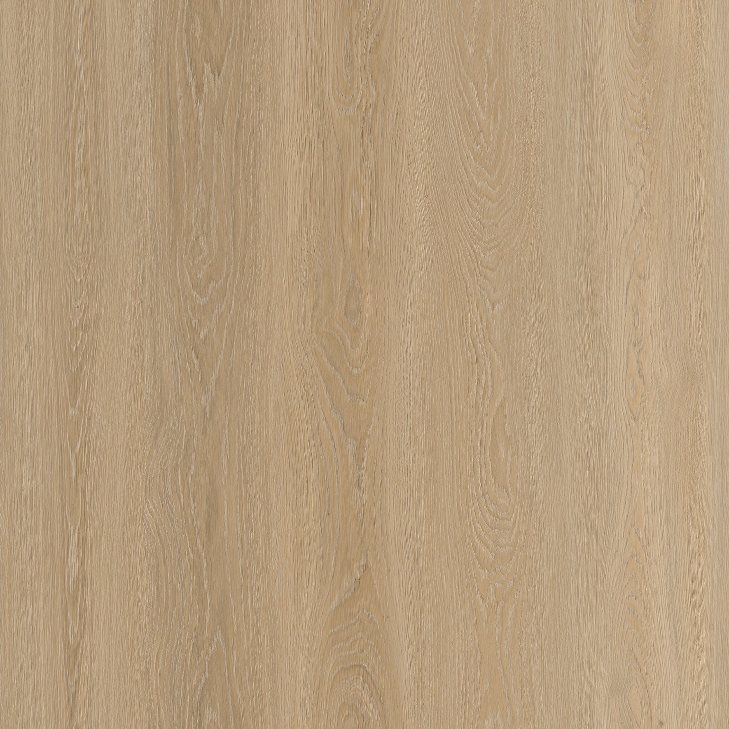 Route66 8mm/22mil Woodland Oak 9 in. W x 60 in L. Click Lock Waterproof SPC Vinyl Planks Flooring (18.75 sq.ft/case)