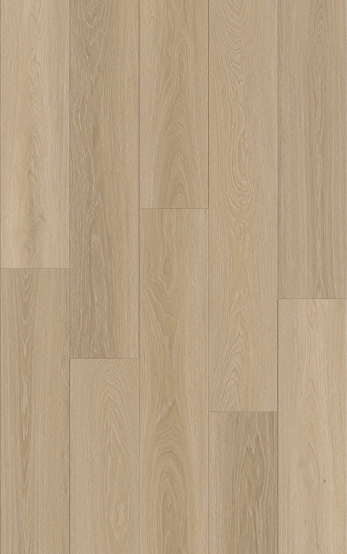 Route66 8mm/22mil Woodland Oak 9 in. W x 60 in L. Click Lock Waterproof SPC Vinyl Planks Flooring (18.75 sq.ft/case)
