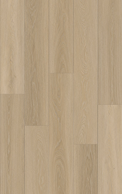 Route66 8mm/22mil Woodland Oak 9 in. W x 60 in L. Click Lock Waterproof SPC Vinyl Planks Flooring (18.75 sq.ft/case)