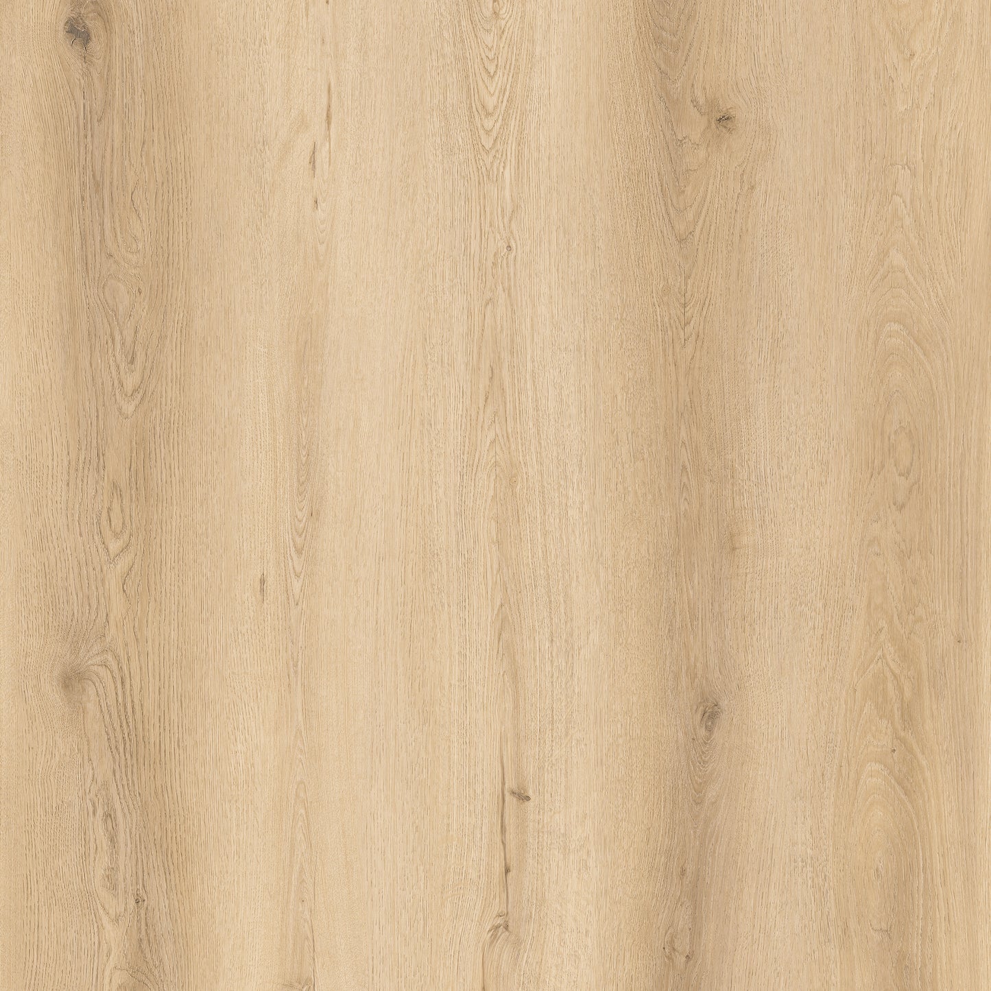 Route66 8mm/22mil Woodhill Oak 9 in. W x 60 in L. Click Lock Waterproof SPC Vinyl Planks Flooring (18.75 sq.ft/case)