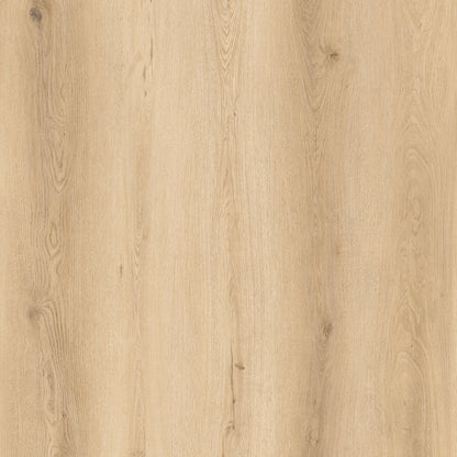 Route66 8mm/22mil Woodhill Oak 9 in. W x 60 in L. Click Lock Waterproof SPC Vinyl Planks Flooring (18.75 sq.ft/case)