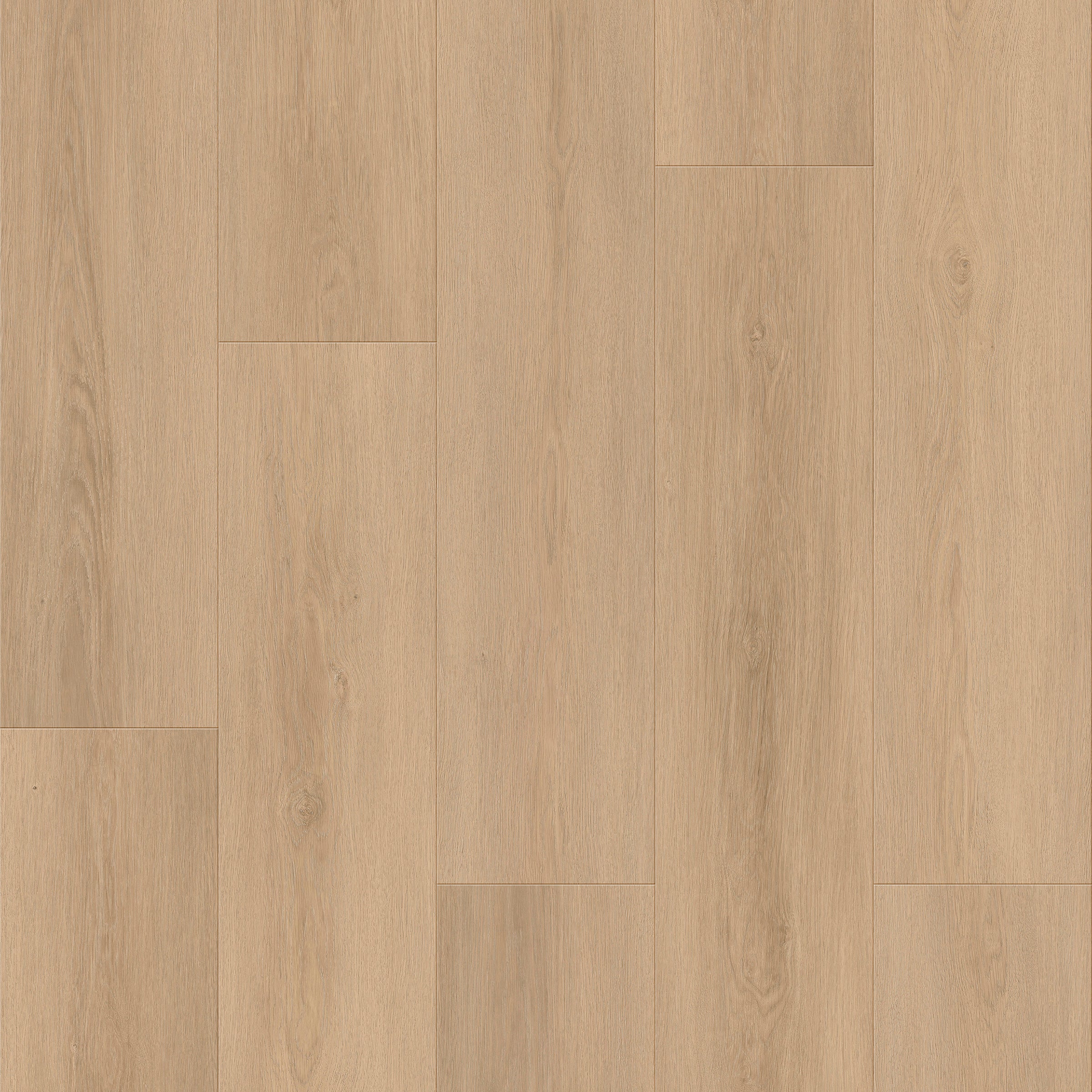 Route66 8mm/22mil Woodbury Oak 9 in. W x 60 in L. Click Lock