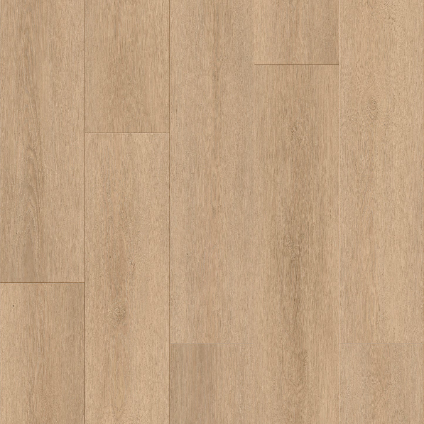 Route66 8mm/22mil Woodbury Oak 9 in. W x 60 in L. Click Lock Waterproof SPC Vinyl Planks Flooring (18.75 sq.ft/case)