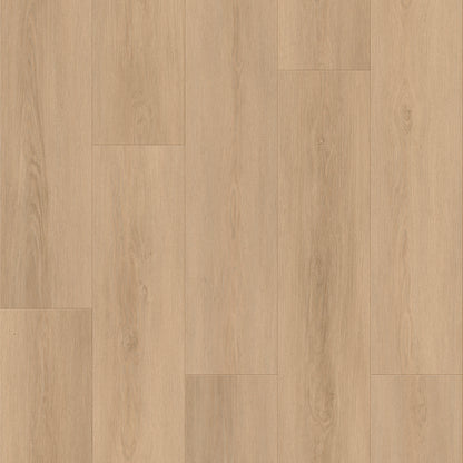 Route66 8mm/22mil Woodbury Oak 9 in. W x 60 in L. Click Lock Waterproof SPC Vinyl Planks Flooring (18.75 sq.ft/case)