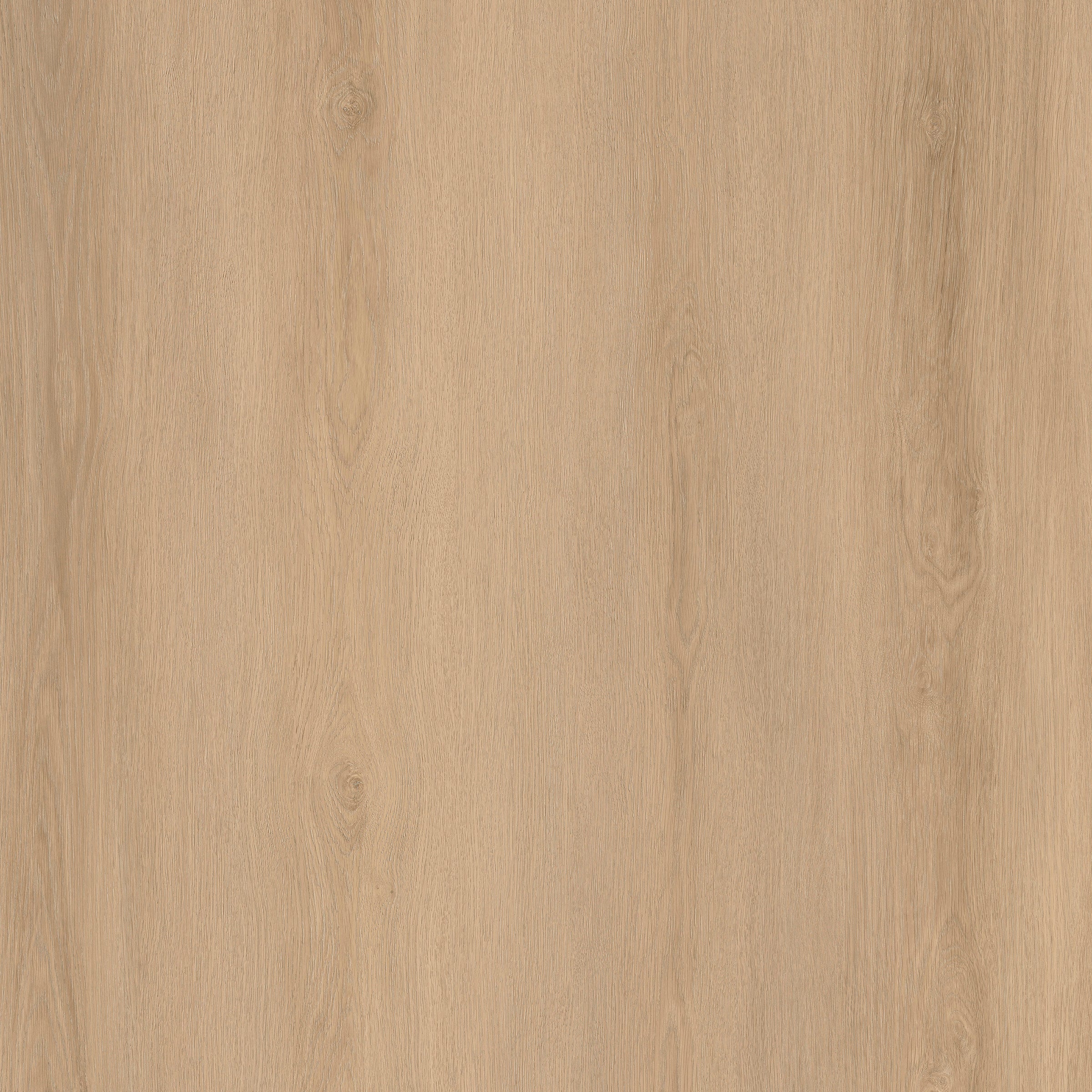 Route66 8mm/22mil Woodbury Oak 9 in. W x 60 in L. Click Lock