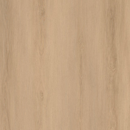 Route66 8mm/22mil Woodbury Oak 9 in. W x 60 in L. Click Lock Waterproof SPC Vinyl Planks Flooring (18.75 sq.ft/case)