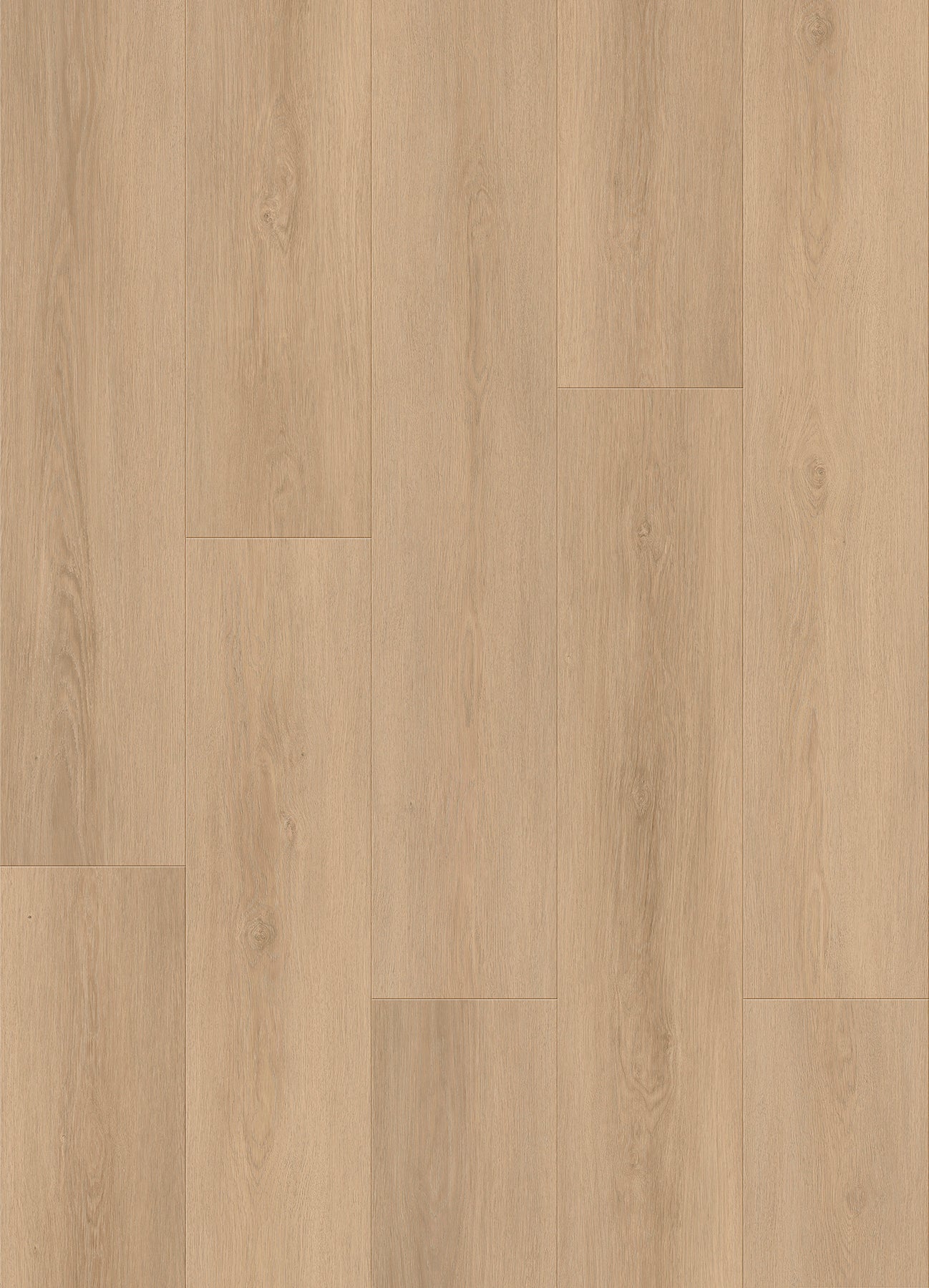 Route66 8mm/22mil Woodbury Oak 9 in. W x 60 in L. Click Lock Waterproof SPC Vinyl Planks Flooring (18.75 sq.ft/case)