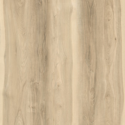 Route66 8mm/22mil Newland Hickory 9 in. W x 60 in L. Click Lock Waterproof SPC Vinyl Planks Flooring (18.75 sq.ft/case)